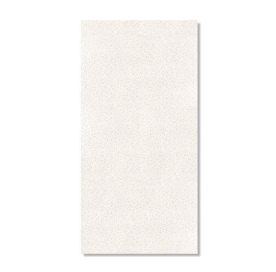 กระเบื้องพื้น VECERA SHILVANTA BIANCO(GLOSSY)